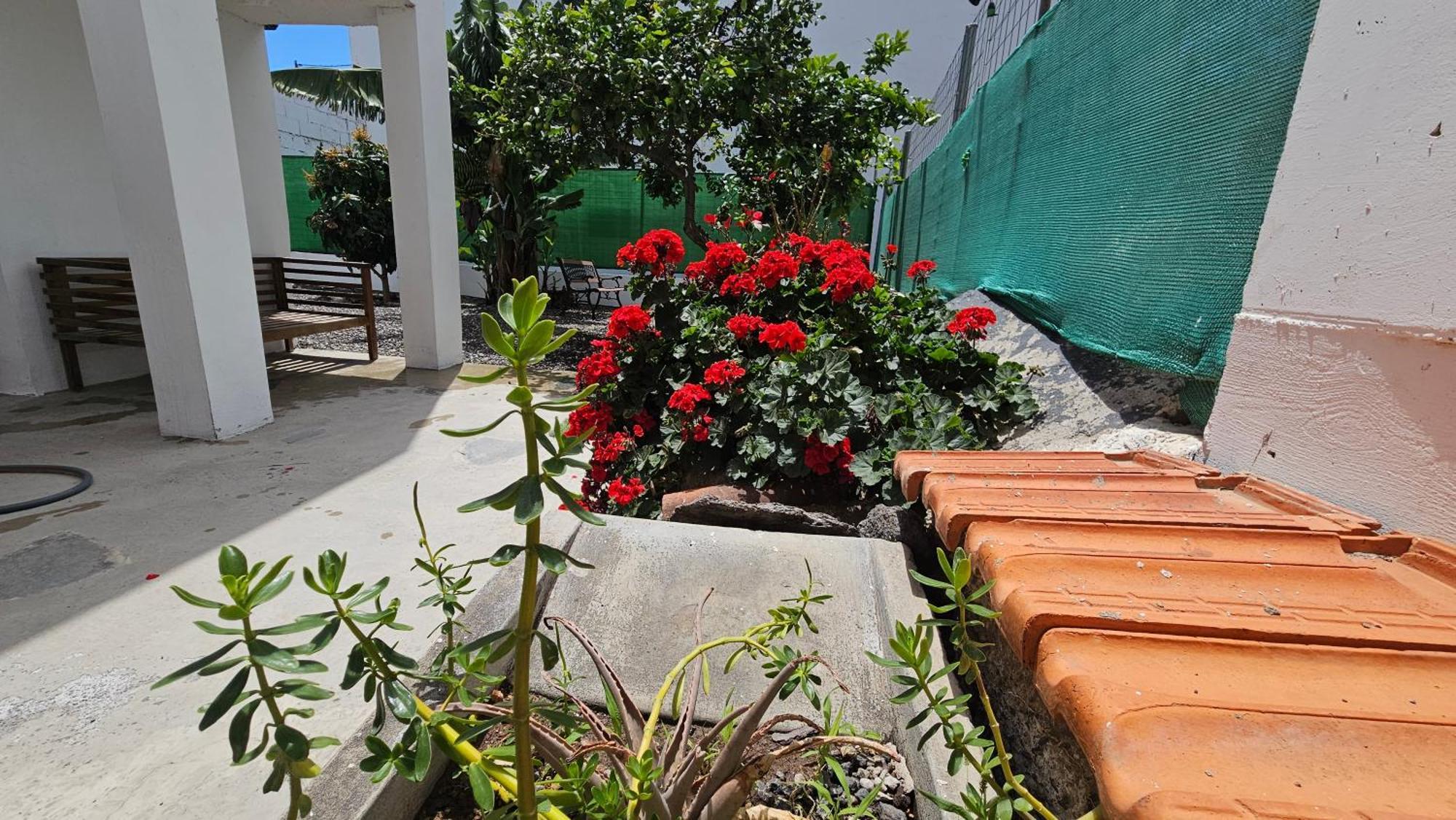Casa Tina Villa Guimar Exterior photo